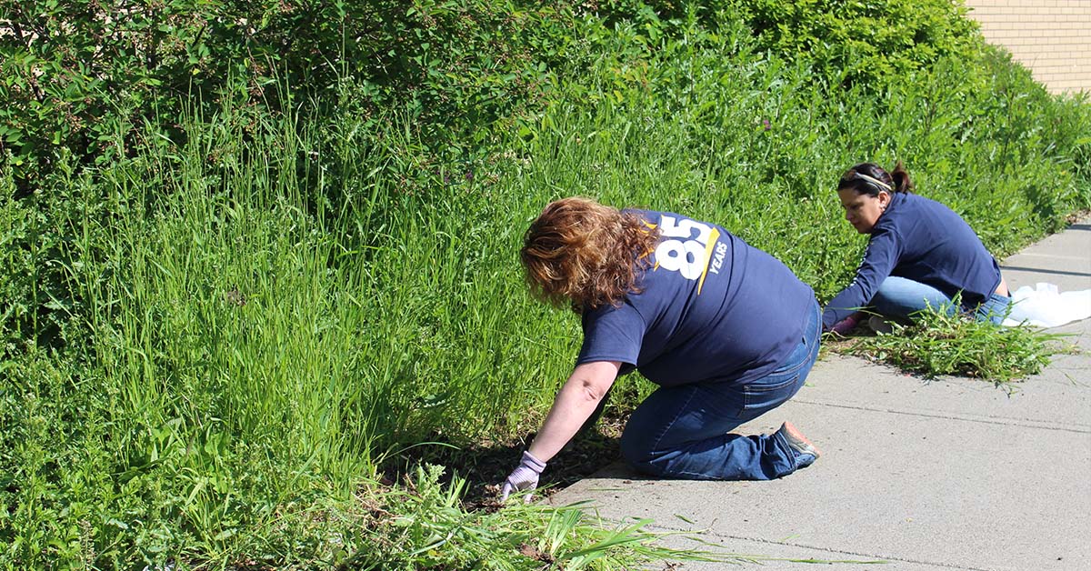 Sunmark Credit Union weeding
